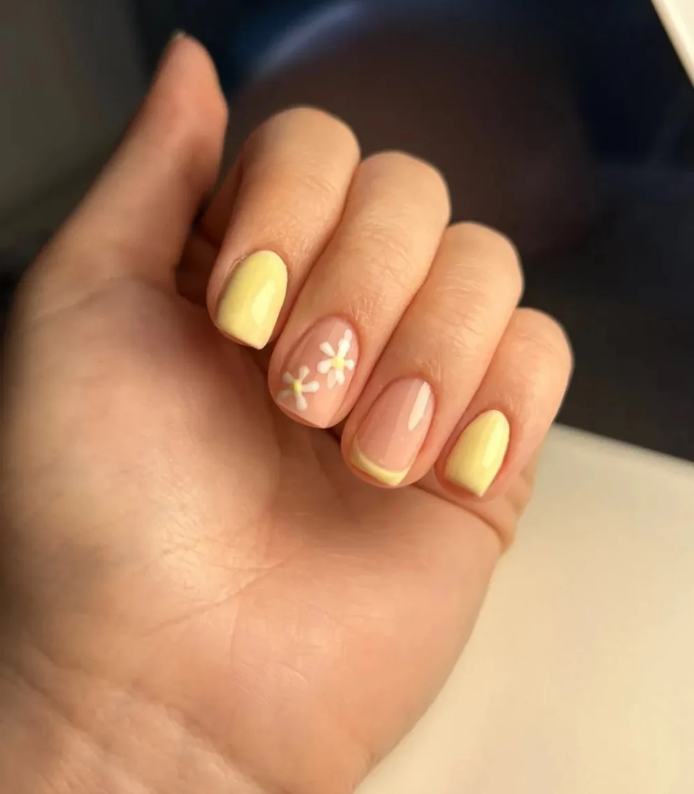 445 Butter Yellow - Image 3